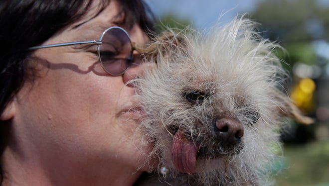 Linda Elmquist, of Tucson, Ariz., embraces Josie, her Chinese Crested Mix, before the start of the World's Ugliest Dog Contest at the Sonoma-Marin Fair Friday, June 23, 2017, in Petaluma, Calif.