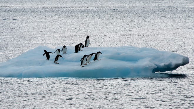 Penguins on an ice block in Antarctica March 10, 2014.