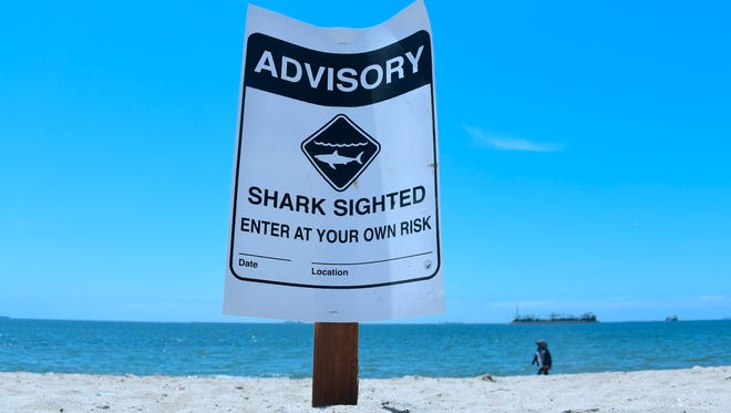 Warning signs for shark sightings remain in Long Beach, California, on May 16, 2017, where Great White sharks and their pups have been sighted regularly off southern California beaches.
The increase in shark sightings around the start of summer is similar to the influx seen in 2016. Marine safety officials attribute the activity to the thriving aquatic ecosystem in the area.   / AFP PHOTO / FREDERIC J. BROWNFREDERIC J. BROWN/AFP/Getty Images ORIG FILE ID: AFP_OH0SH